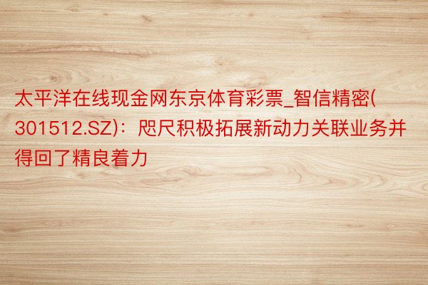 太平洋在线现金网东京体育彩票_智信精密(301512.SZ)：咫尺积极拓展新动力关联业务并得回了精良着力