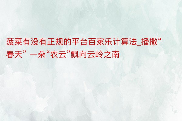 菠菜有没有正规的平台百家乐计算法_播撒“春天” 一朵“农云”飘向云岭之南