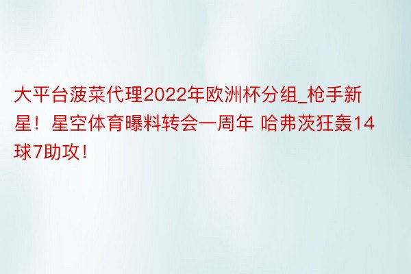大平台菠菜代理2022年欧洲杯分组_枪手新星！星空体育曝料转会一周年 哈弗茨狂轰14球7助攻！