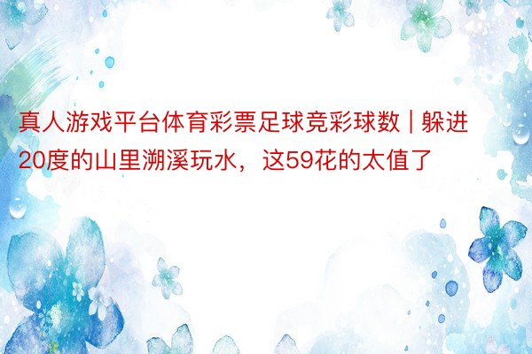 真人游戏平台体育彩票足球竞彩球数 | 躲进20度的山里溯溪玩水,这59花的太值了‼️
