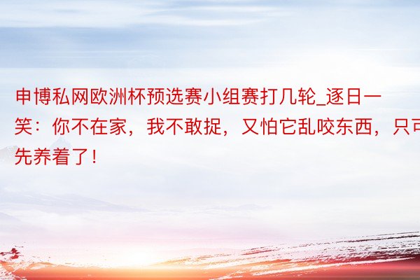 申博私网欧洲杯预选赛小组赛打几轮_逐日一笑：你不在家，我不敢捉，又怕它乱咬东西，只可先养着了！